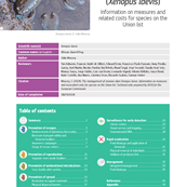 TSSR-2024-01.06_MMC note_Xenopus laevis_Page_01.png