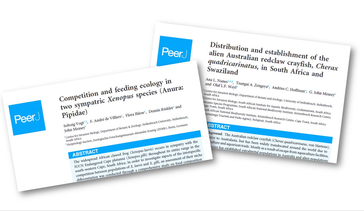 Why do I like publishing with PeerJ?