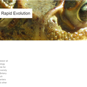 PeerJ-rapid-evolution.png